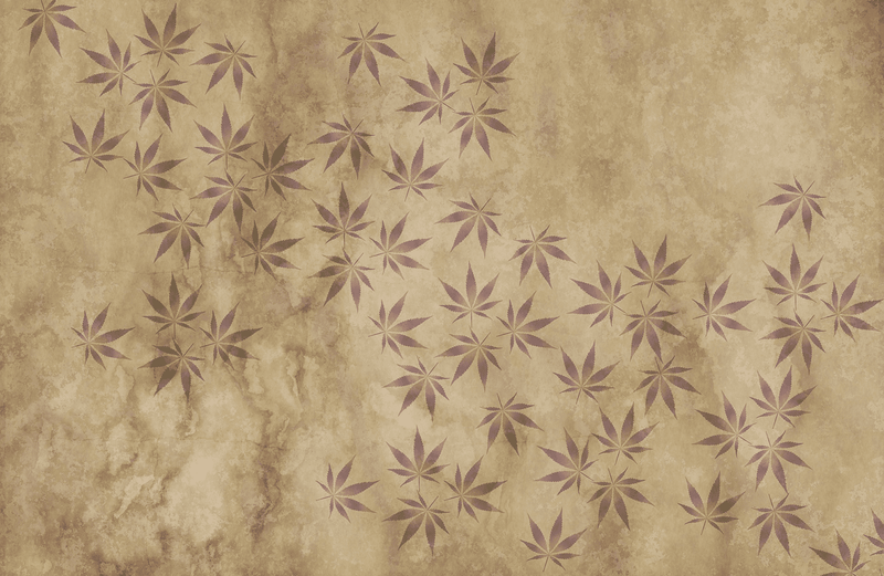 Did you know… that cannabis may be the oldest of all human-cultivated plants not intended primarily for food?