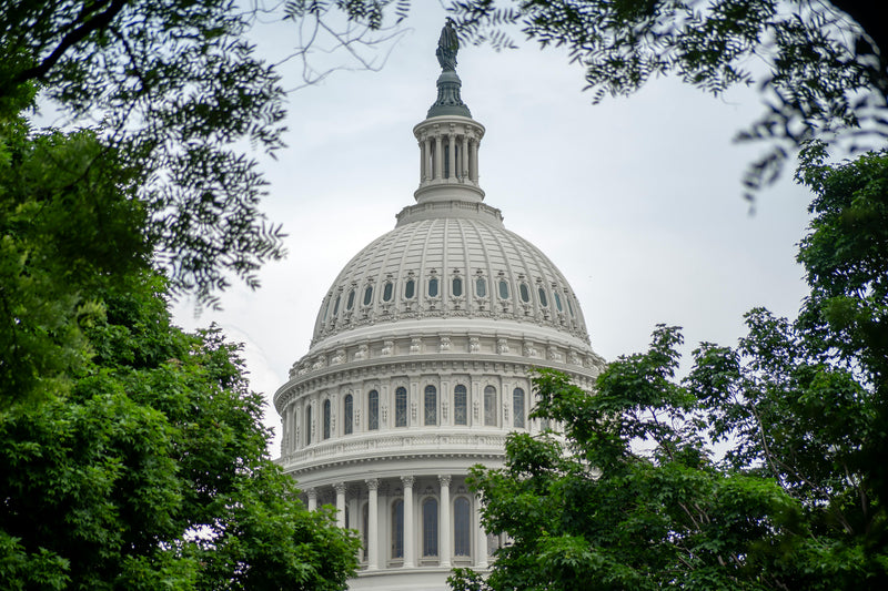 Updates On The FDA’s Hearings On CBD.
