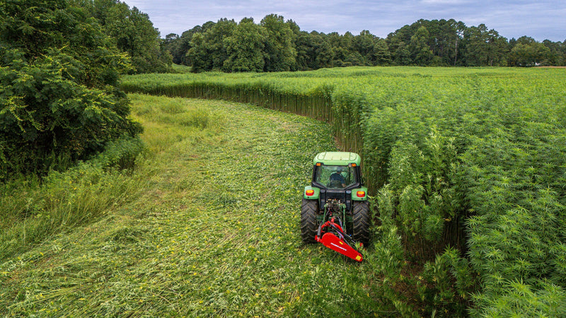 Native Americans Take The USDA To Court Over Hemp Cultivation.