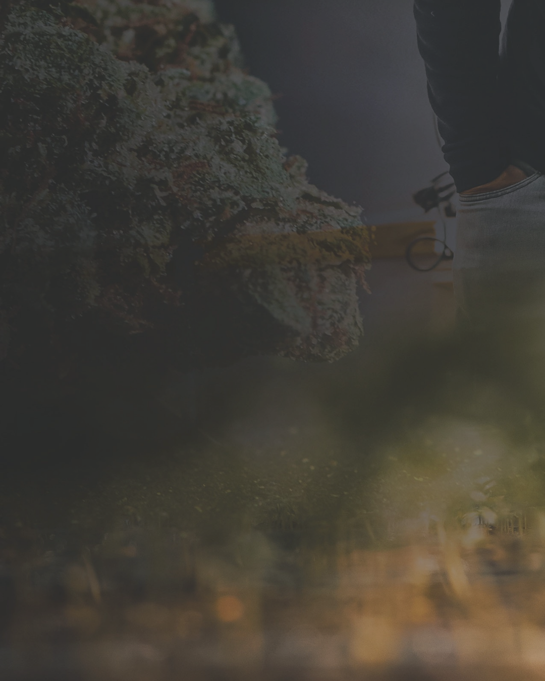 Is Hemp THC Legal? What’s Actually Happening in 2026