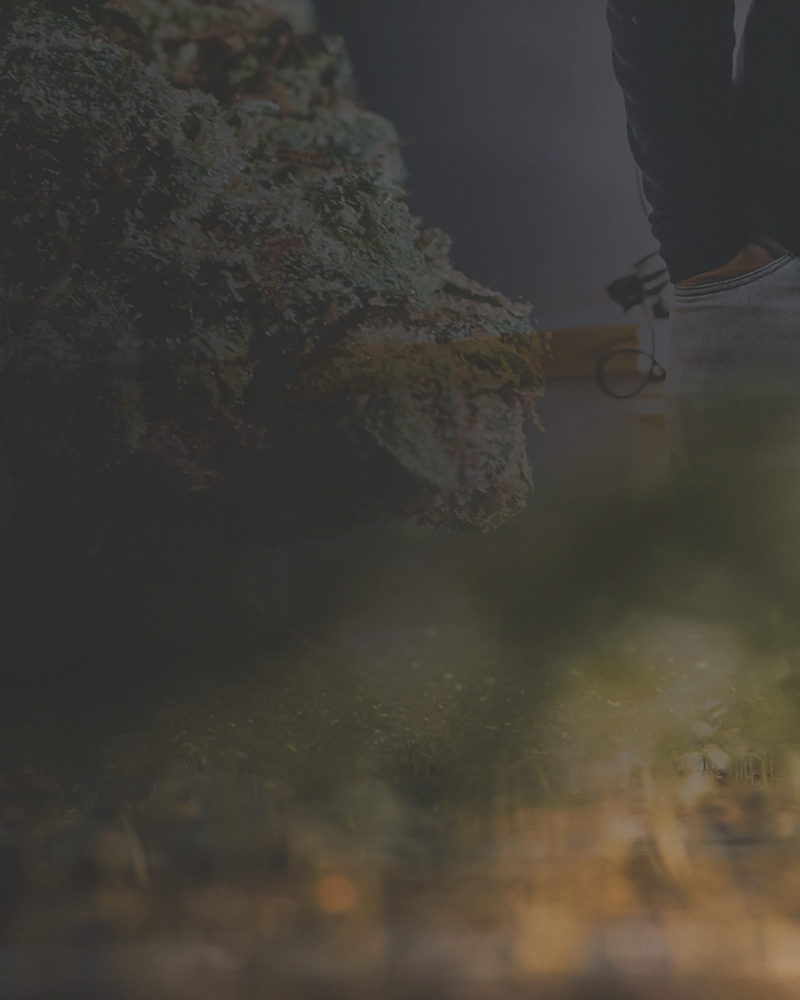 Is Hemp THC Legal? What’s Actually Happening in 2026