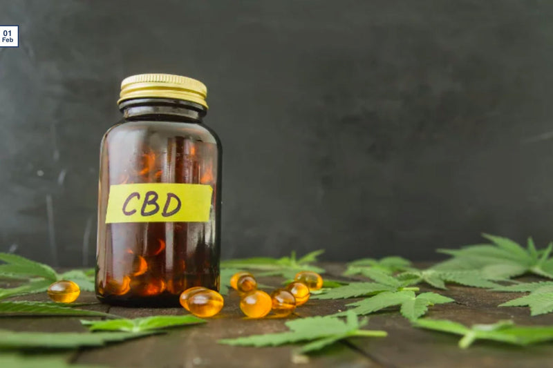 CBD and the FDA: Thoughts On What 2020 May Bring.