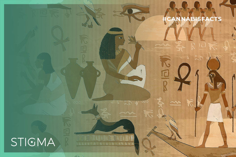 Ancient Egyptian medicinal cannabis
