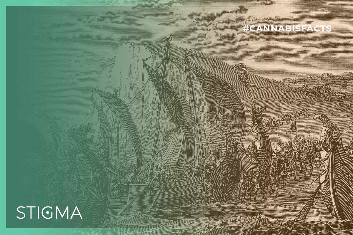 Did you know that the Vikings cultivated hemp over a thousand years ago?