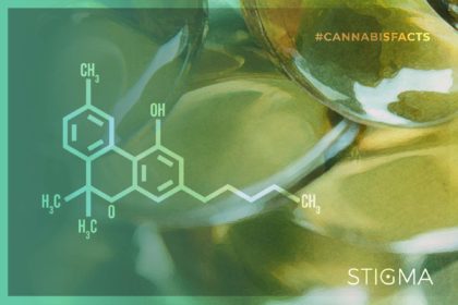 Read more about the article Did you know…before people used THC or CBD for healing, they used CBN.