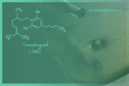 Read more about the article Did you know CBG is the Mother of all Cannabinoids?