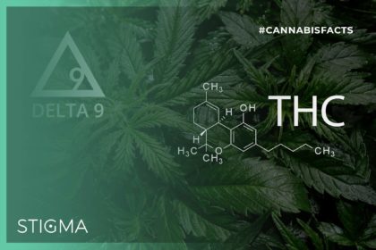 Read more about the article Did you know that while the cannabis plant can potentially produce over a hundred different cannabinoids, there is one that is more powerful– and controversial– than all the rest: Delta-9-THC, or just THC for short.