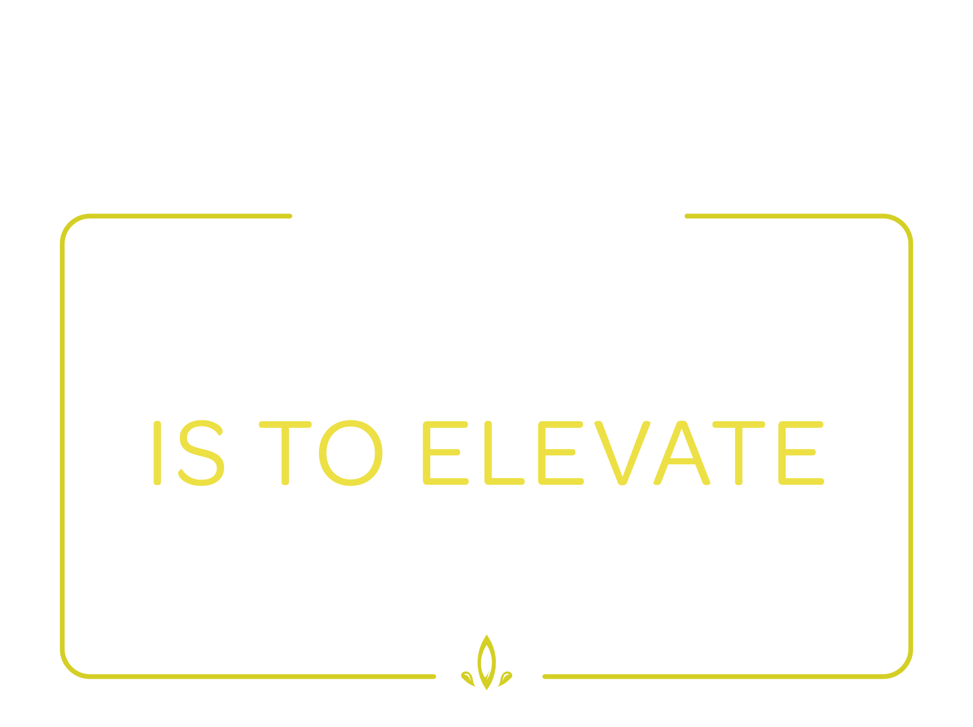 stigma thc our resolution is to elevate your new year